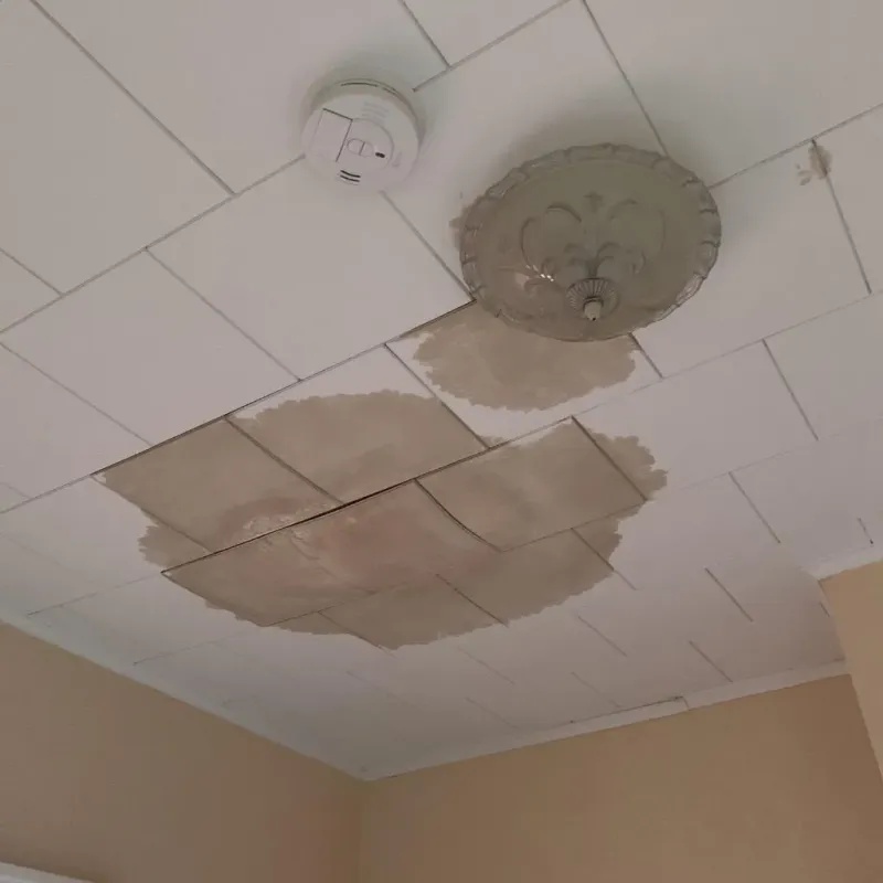 Ceiling Water Damage Repair in Johnsonville, SC